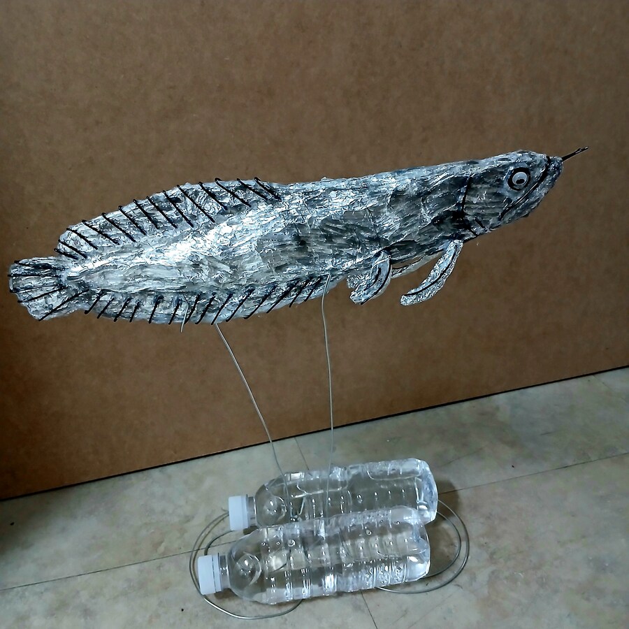 은박지로 아로와나 만들었어요_5.jpg