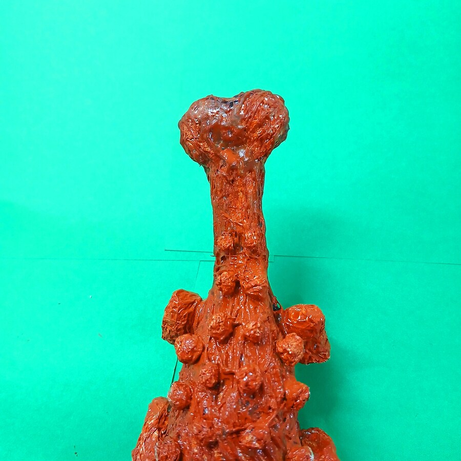 은박지 안킬로사우르스 입니다_11.jpg