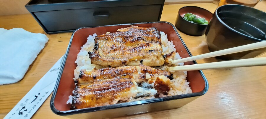 홀로 떠난 첫 해외여행(도쿄 4박 5일)-1_40.jpg