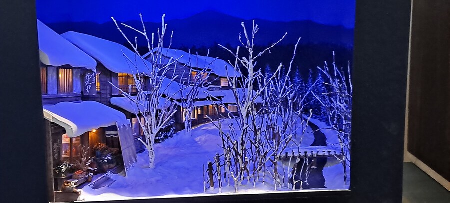 홀로 떠난 첫 해외여행(도쿄 4박 5일)-3_77.jpg