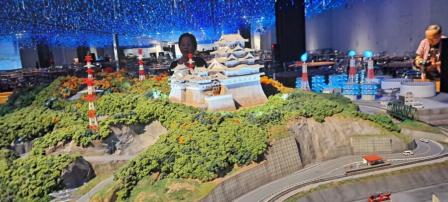 홀로 떠난 첫 해외여행(도쿄 4박 5일)-3_106.jpg