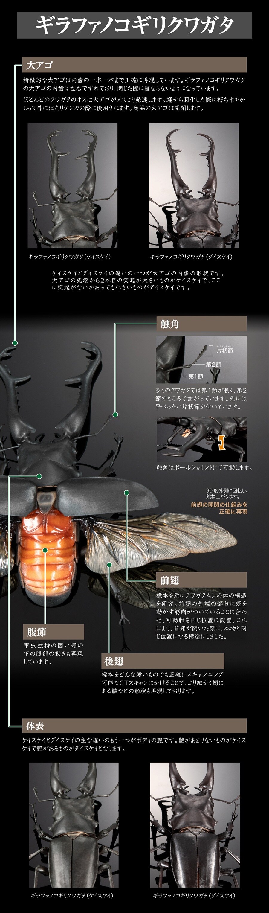 [반다이 가샤폰] 생물대도감 어드밴스 기라파톱/만디블라리스큰턱 사슴벌레_14.jpg
