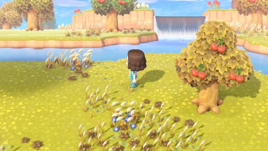 [동물의 숲] 이런 섬 가지고 싶어요!_10.jpg