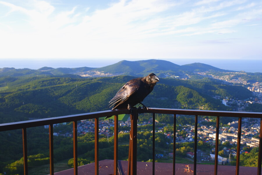 북쪽의 대지, 홋카이도 여행 3부 (오타루)_51.jpg