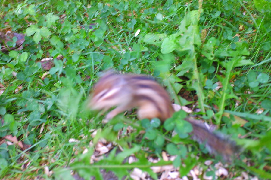 북쪽의 대지, 홋카이도 여행 3부 (오타루)_66.jpg