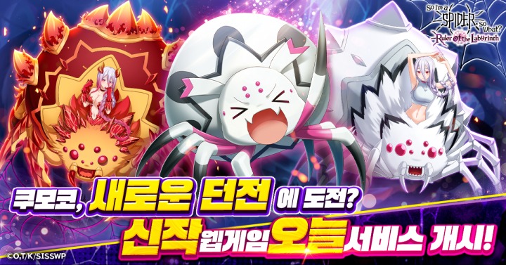 주식회사 거미 이미지