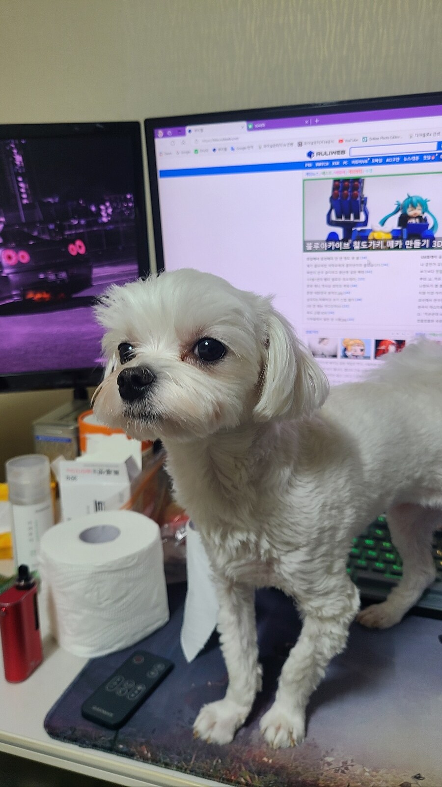 오늘은 낼름이 2번째 생일입니다_5.jpg