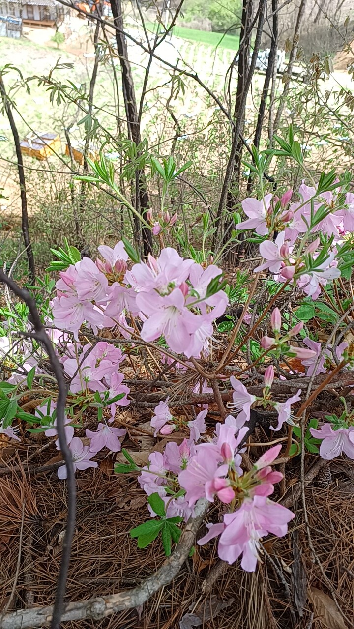 간만에 시골집을 갔는데 말이죠~_7.jpg