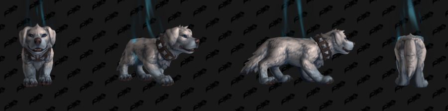 와우 할로윈 저주받은 기사의 군마 탈것 및 멍서스 획득 확률 더 높아짐_3.jpg