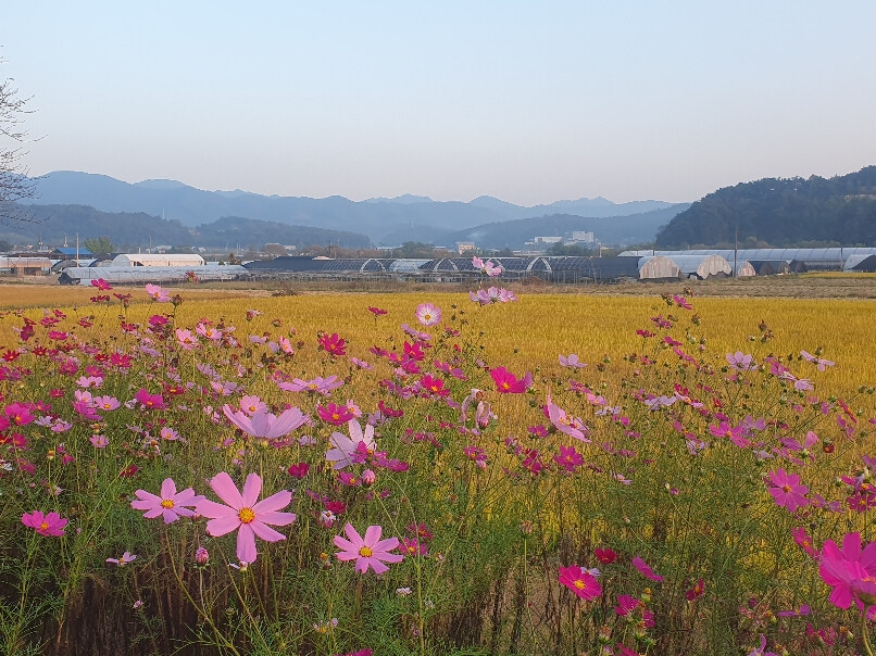 절대자 6.5화(상) - 둘만의 여행_2.jpg