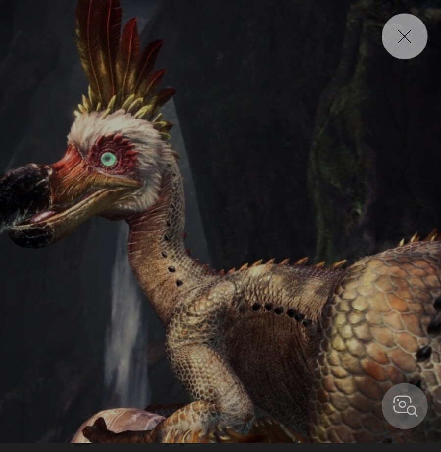 나도 와일즈에 나오고 싶었다(커마)_5.jpg