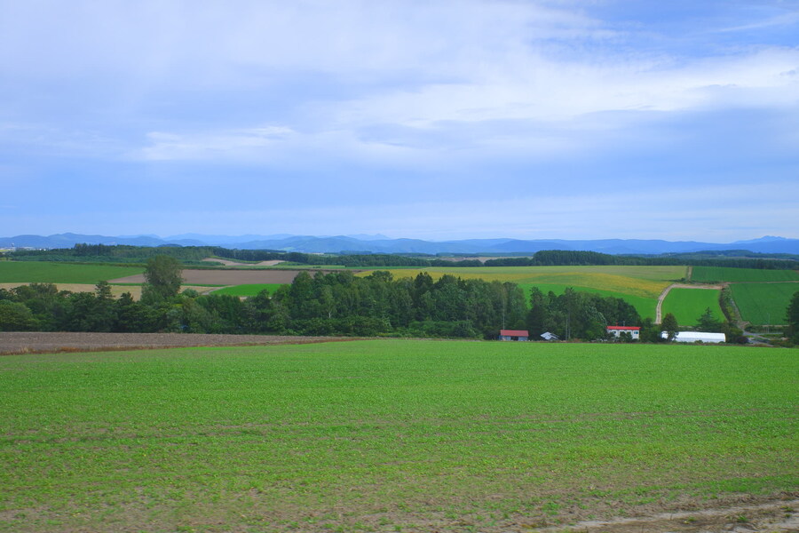 북쪽의 대지, 홋카이도 여행 4부 (비에이)_9.jpg