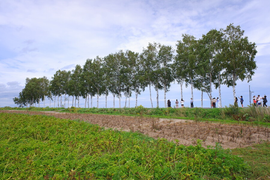 북쪽의 대지, 홋카이도 여행 4부 (비에이)_12.jpg