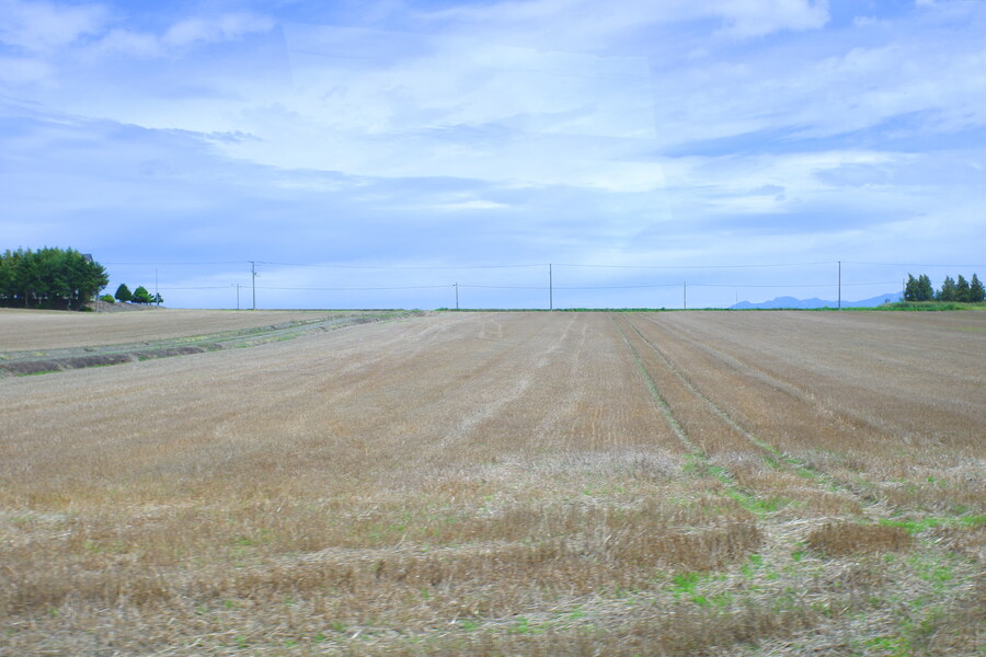 북쪽의 대지, 홋카이도 여행 4부 (비에이)_17.jpg