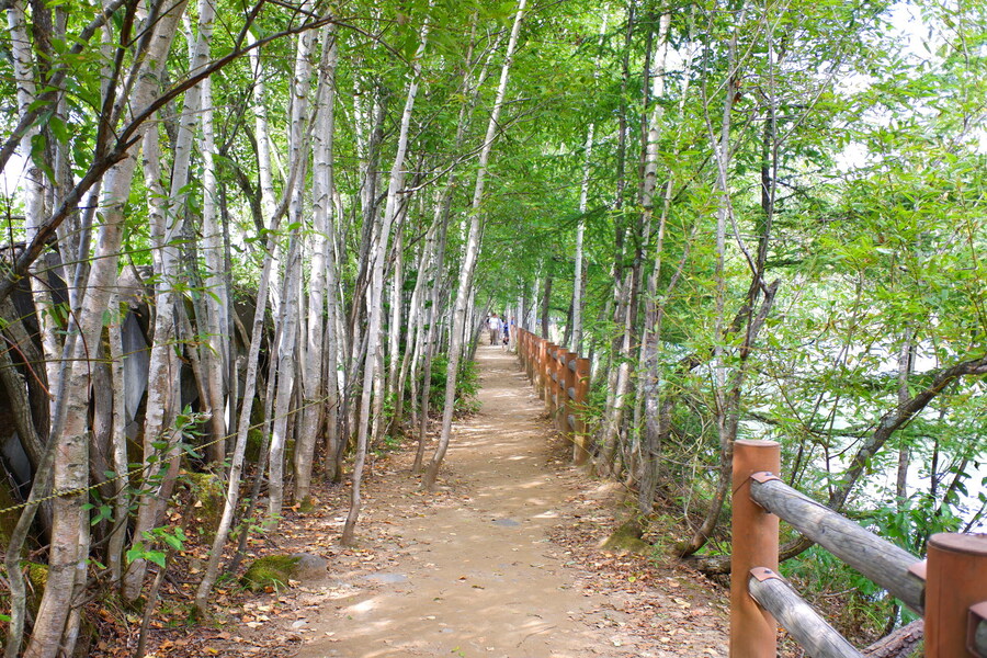 북쪽의 대지, 홋카이도 여행 4부 (비에이)_34.jpg