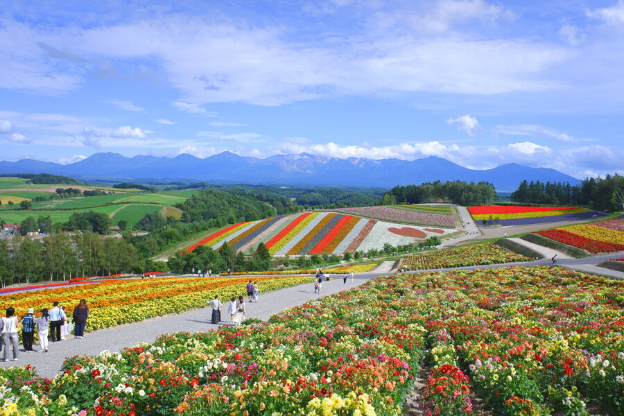 북쪽의 대지, 홋카이도 여행 4부 (비에이)_43.jpg