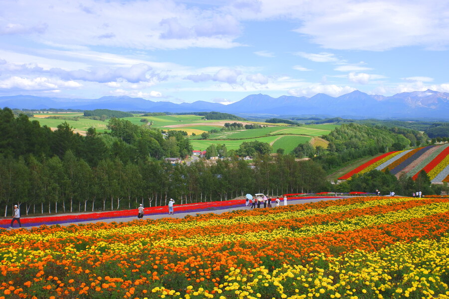 북쪽의 대지, 홋카이도 여행 4부 (비에이)_45.jpg