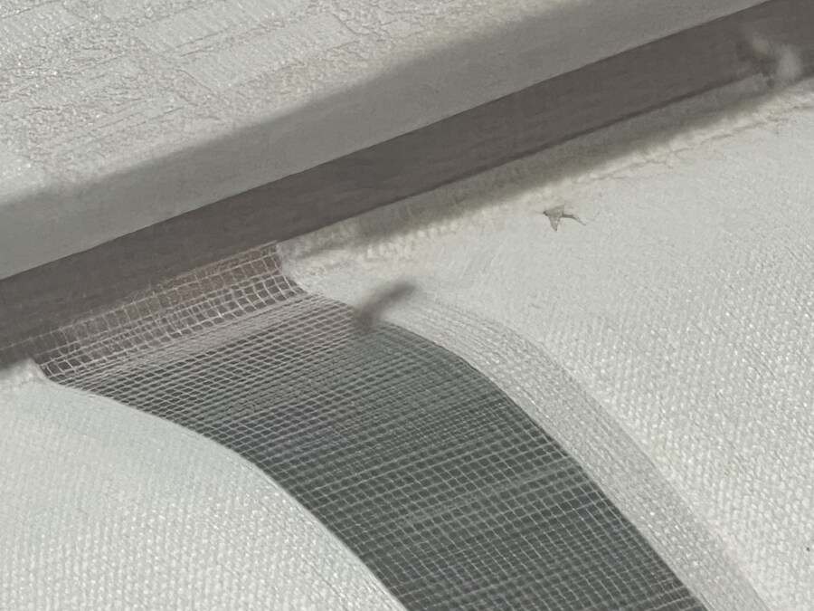 모기) 모기장의 용도는 모기를 막는것도 있지만_1.jpg