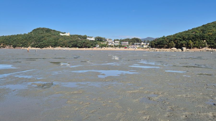 (강화도) 캠린이 아빠의 네번째 캠핑 (with 꼬맹이)_3.jpeg