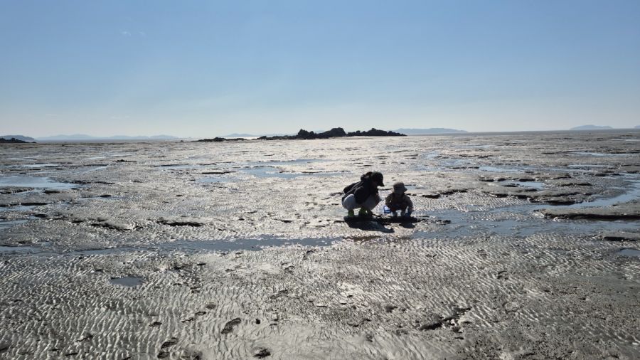 (강화도) 캠린이 아빠의 네번째 캠핑 (with 꼬맹이)_5.jpeg