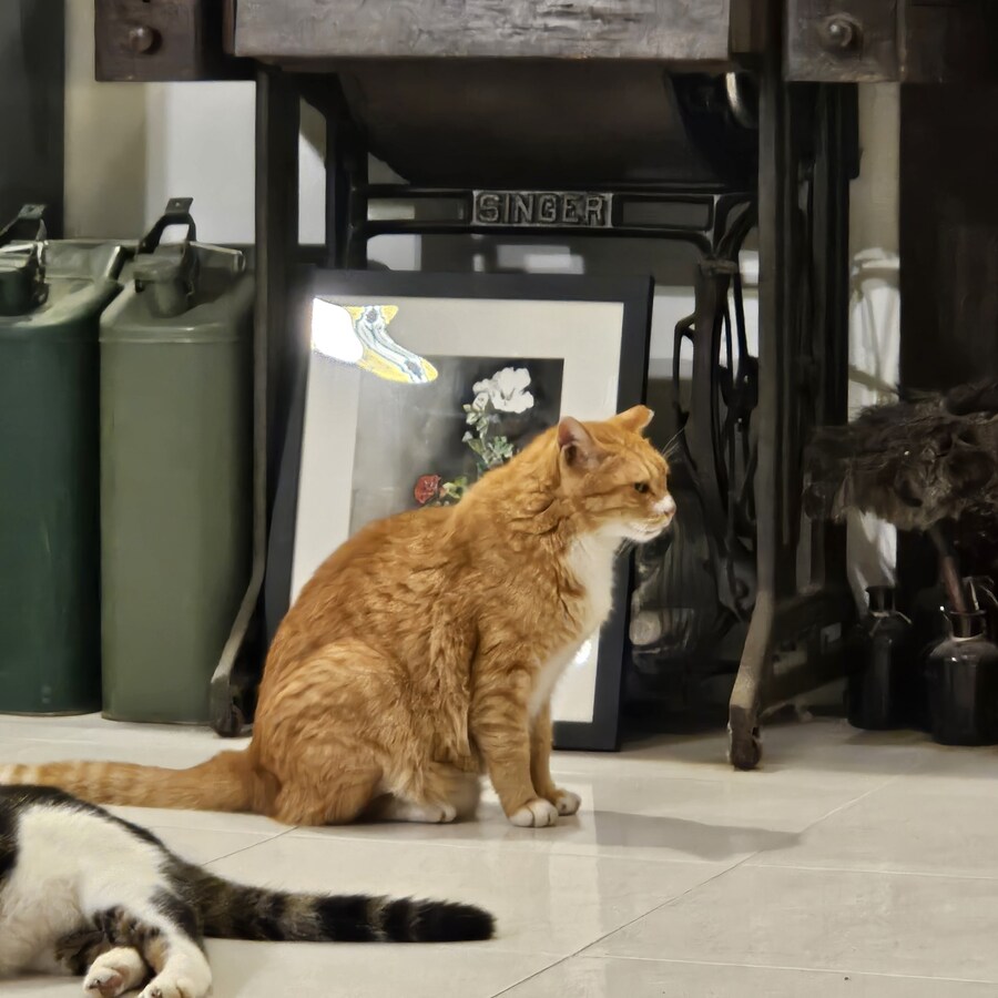 늠름한 한컷!_1.jpg