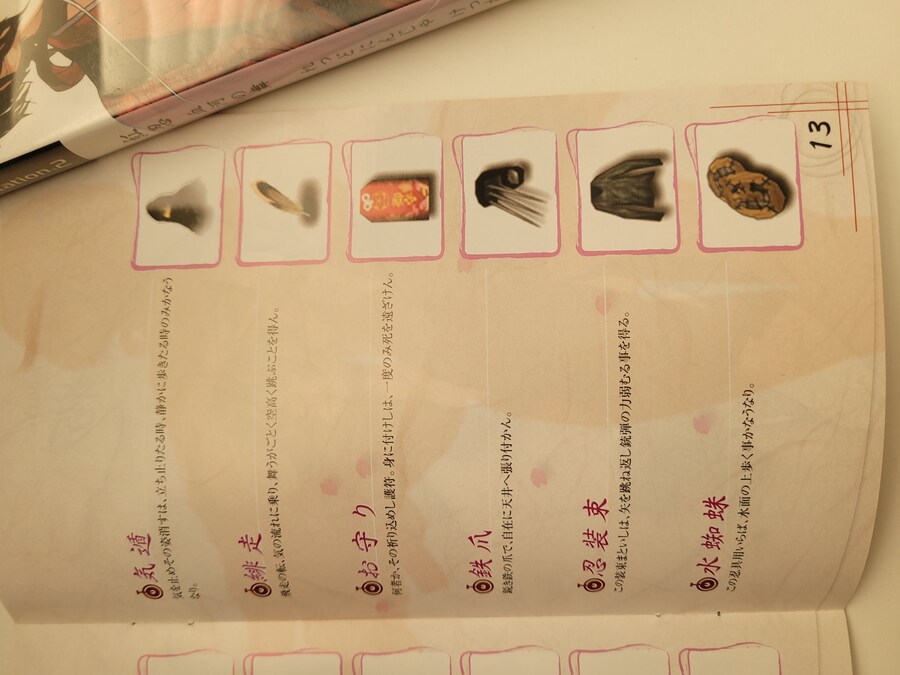 홍인 -레드 닌자-_8.jpg