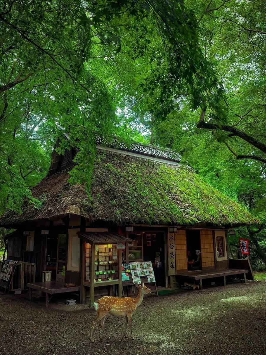 [요모] 아리마 온천 료칸 오사카 4일 프라이빗 투어 138만원부터_3.jpg