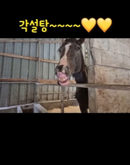 동물보호단체 분들, 속으로 아주 쾌재를 내지를 분들 많겠습니다._2.png