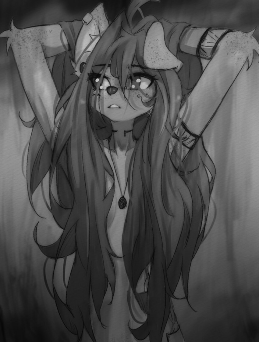 퍼리_7.jpg