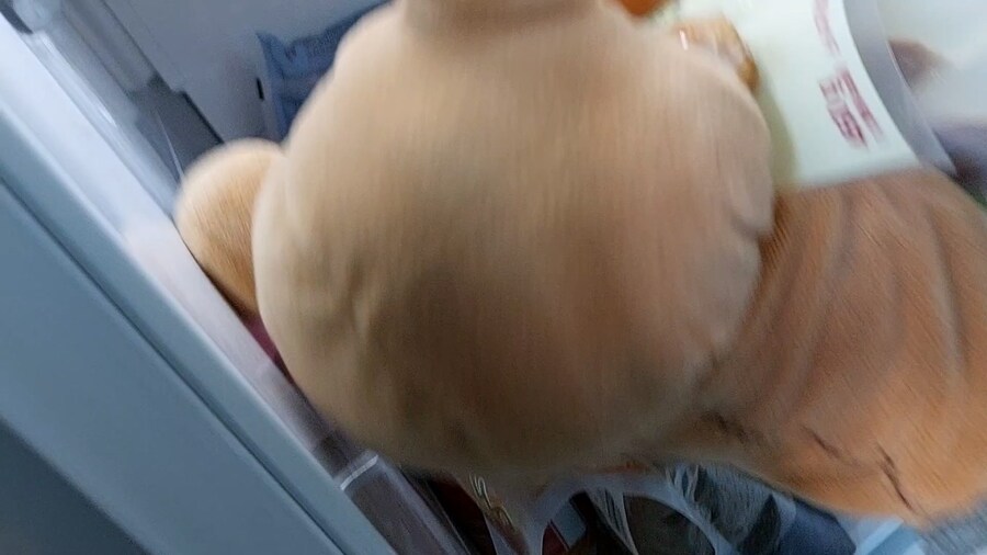 곰들의 빼빼로 데이!!_18.jpg