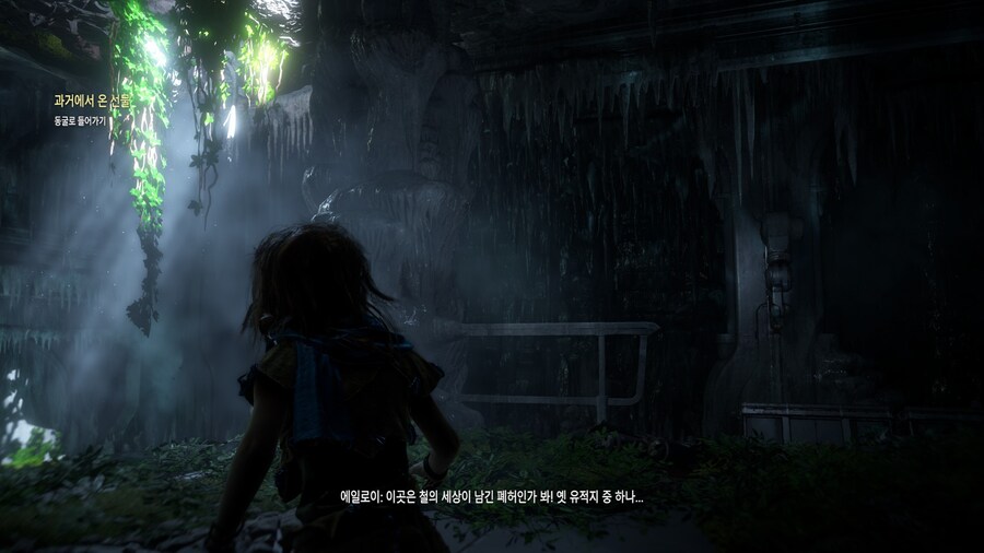 호라이즌 제로 던_12.jpg