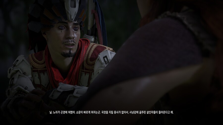 호라이즌 제로 던_65.jpg