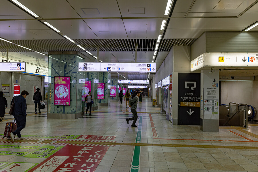 일본 현지 패키지 끌려갔다 온 이야기 -1편 쿠마모토 성->아소팜 점심_1.jpg