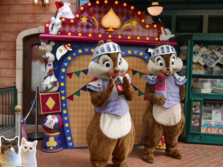 이거시 공산의 디즈니랜드다_4.jpg