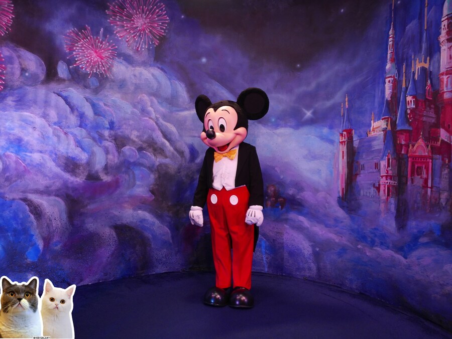 이거시 공산의 디즈니랜드다_8.jpg