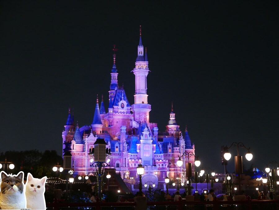 이거시 공산의 디즈니랜드다_31.jpg