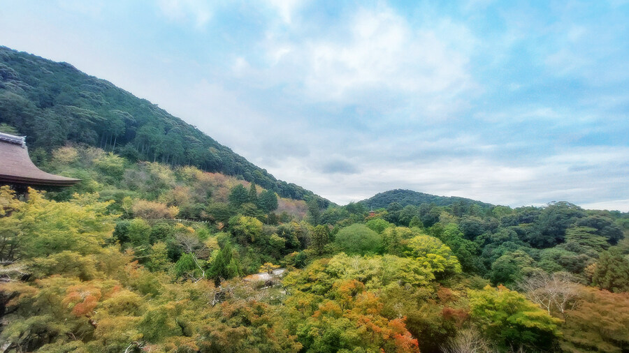 오사카 가족여행-(교토/유니버셜 스튜디오)-스크롤주의_22.jpg