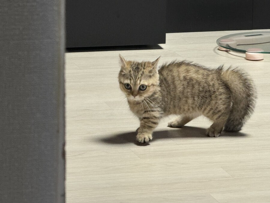 짹슨이 근황입니다^^_3.jpg