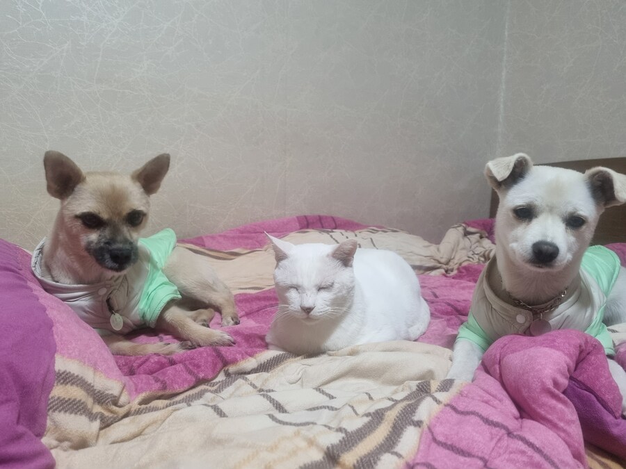 침대 뺏겼네_1.jpg