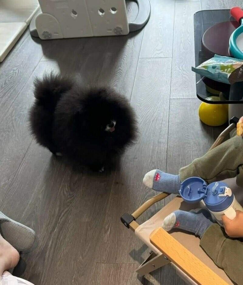 정체불명의 외눈박이 생명체_2.jpg