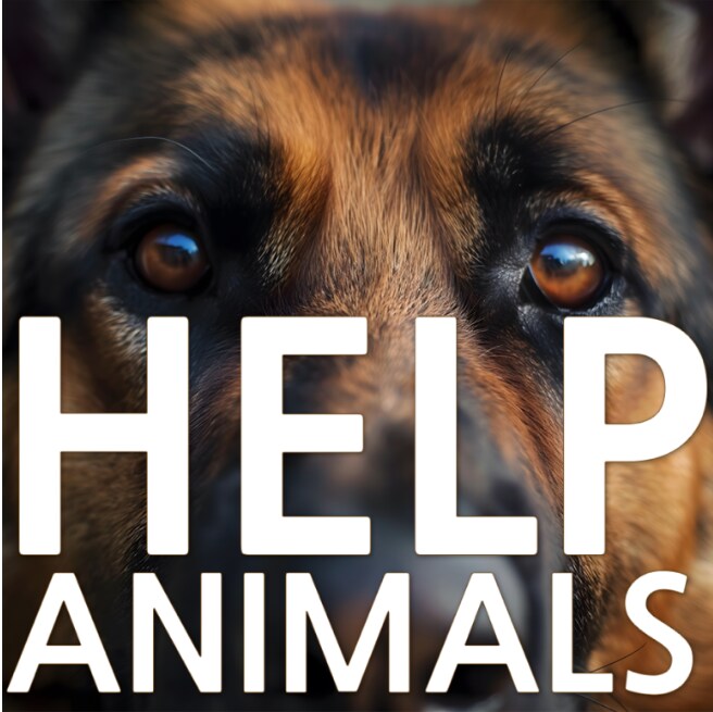 후원을 받는다는 비관련 동물보호단체와 이해가 되지 않는 관계자의 행보._2.png