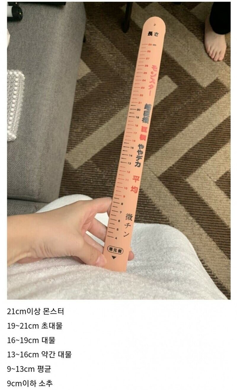 일본에서 고추 크기 측정용으로 제작한 자_1.jpg