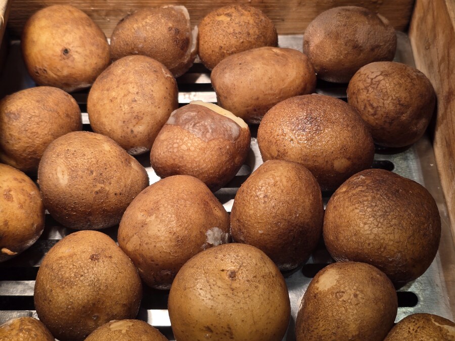 32개월 조카도 함께 한 결혼 40주년 기념 가족 여행_55.jpg