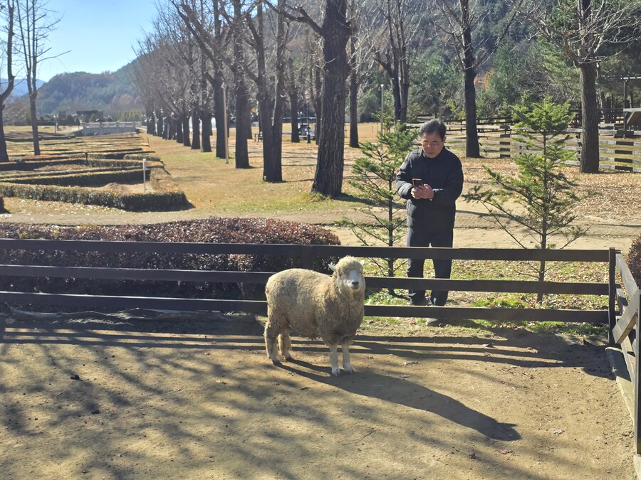 32개월 조카도 함께 한 결혼 40주년 기념 가족 여행_65.jpg