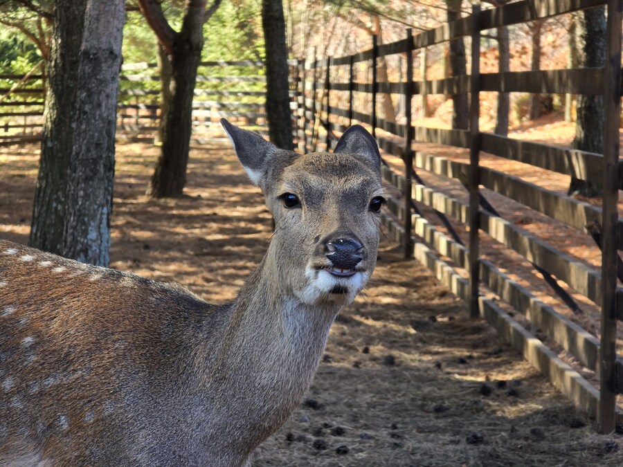 32개월 조카도 함께 한 결혼 40주년 기념 가족 여행_69.jpg
