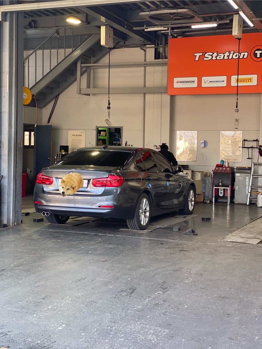 겨울 새신발 신겼습니다._1.jpg