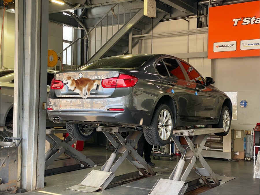 겨울 새신발 신겼습니다._4.jpg