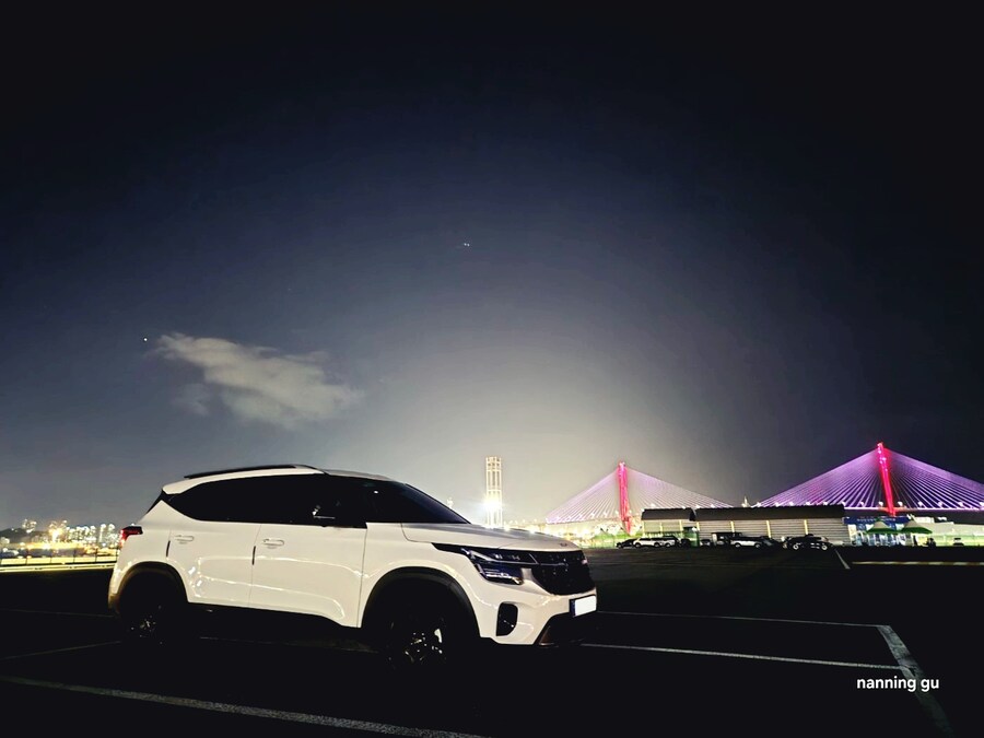 The New Seltos 📷_11.jpg