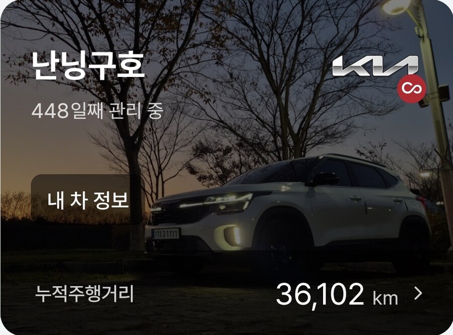 The New Seltos 📷_13.jpg