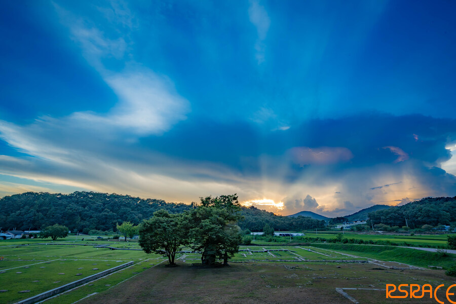 올해 찍은 밤산책 사진들 mk2 (스압)_3.jpg